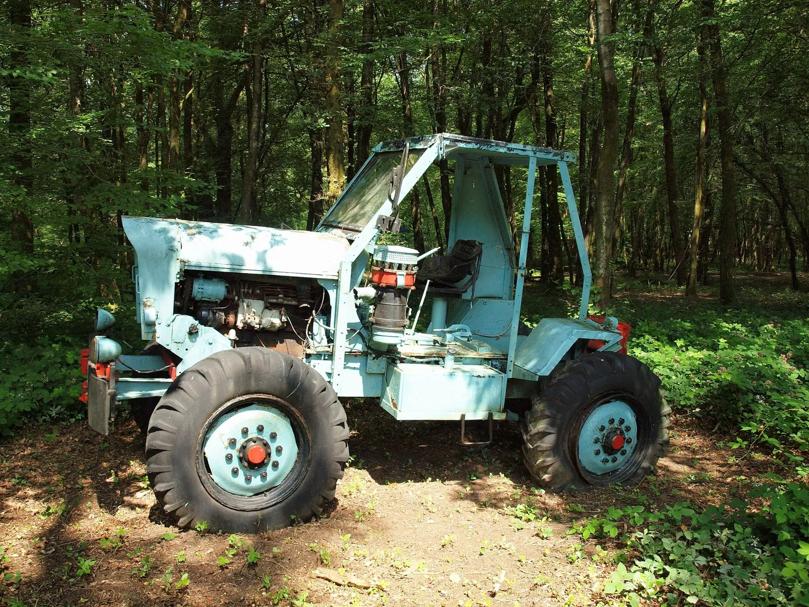 Forest Museum Renwez