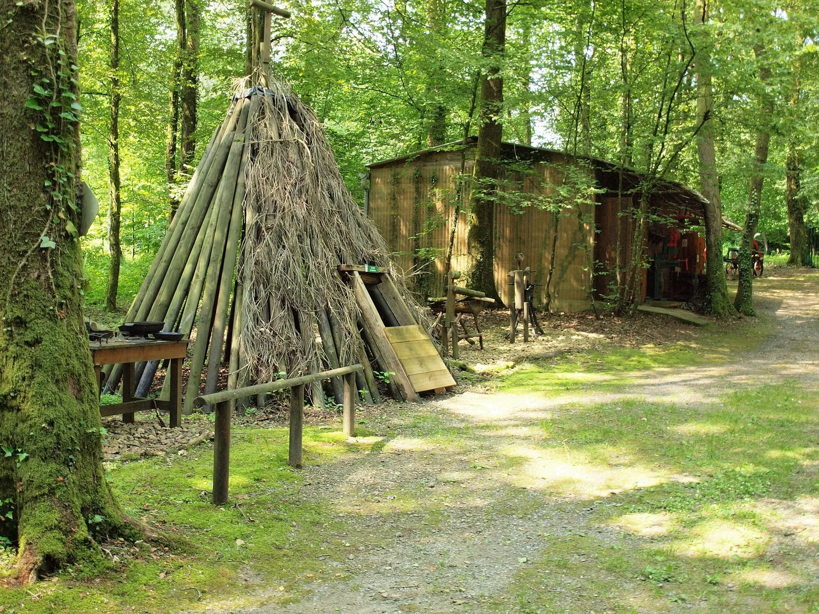 Musée de la Forêt