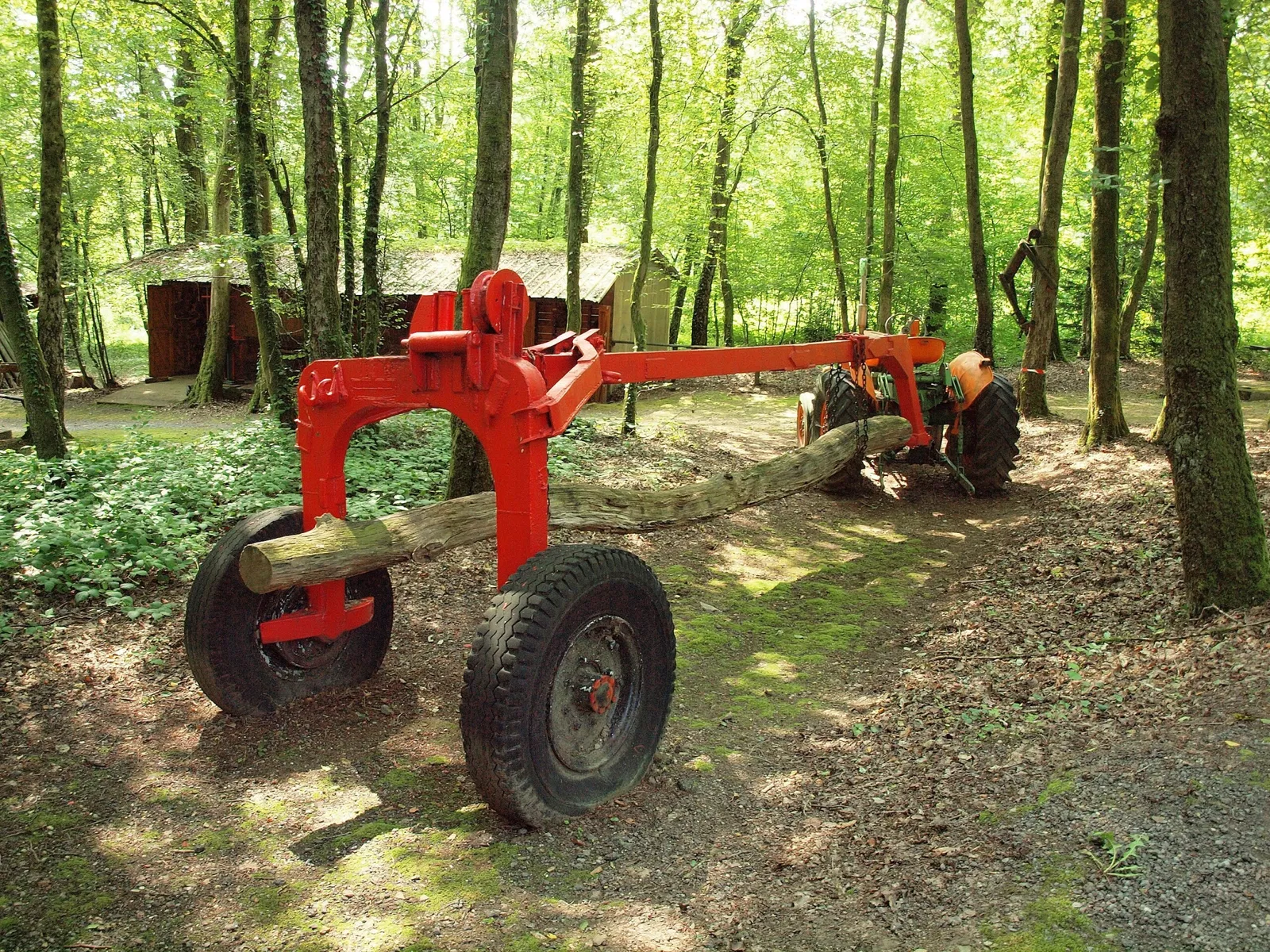 Forest Museum Renwez