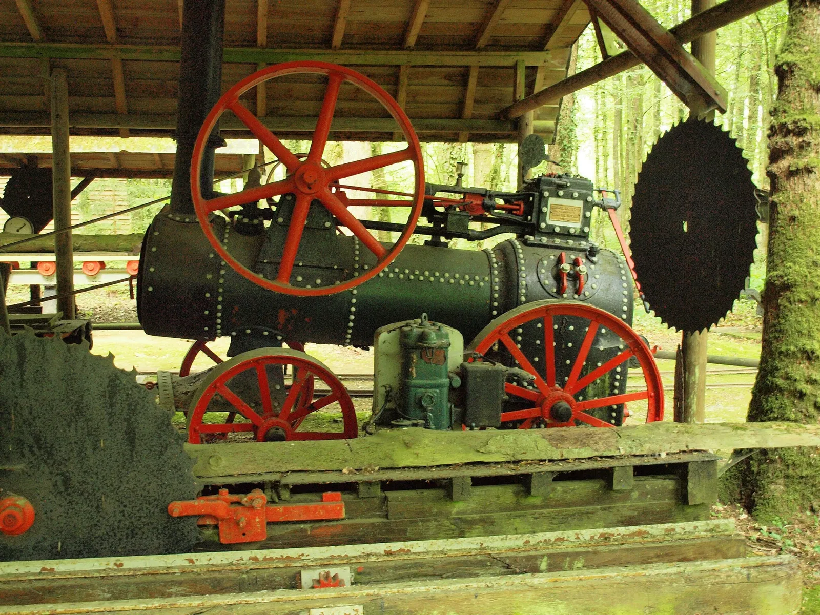 Forest Museum Renwez