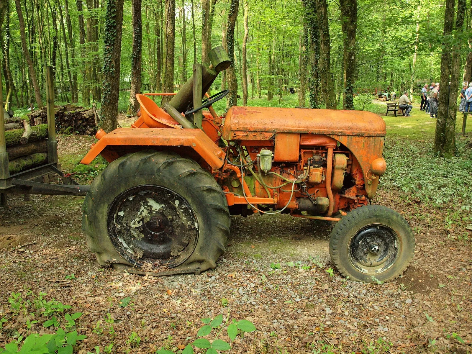 Forest Museum Renwez