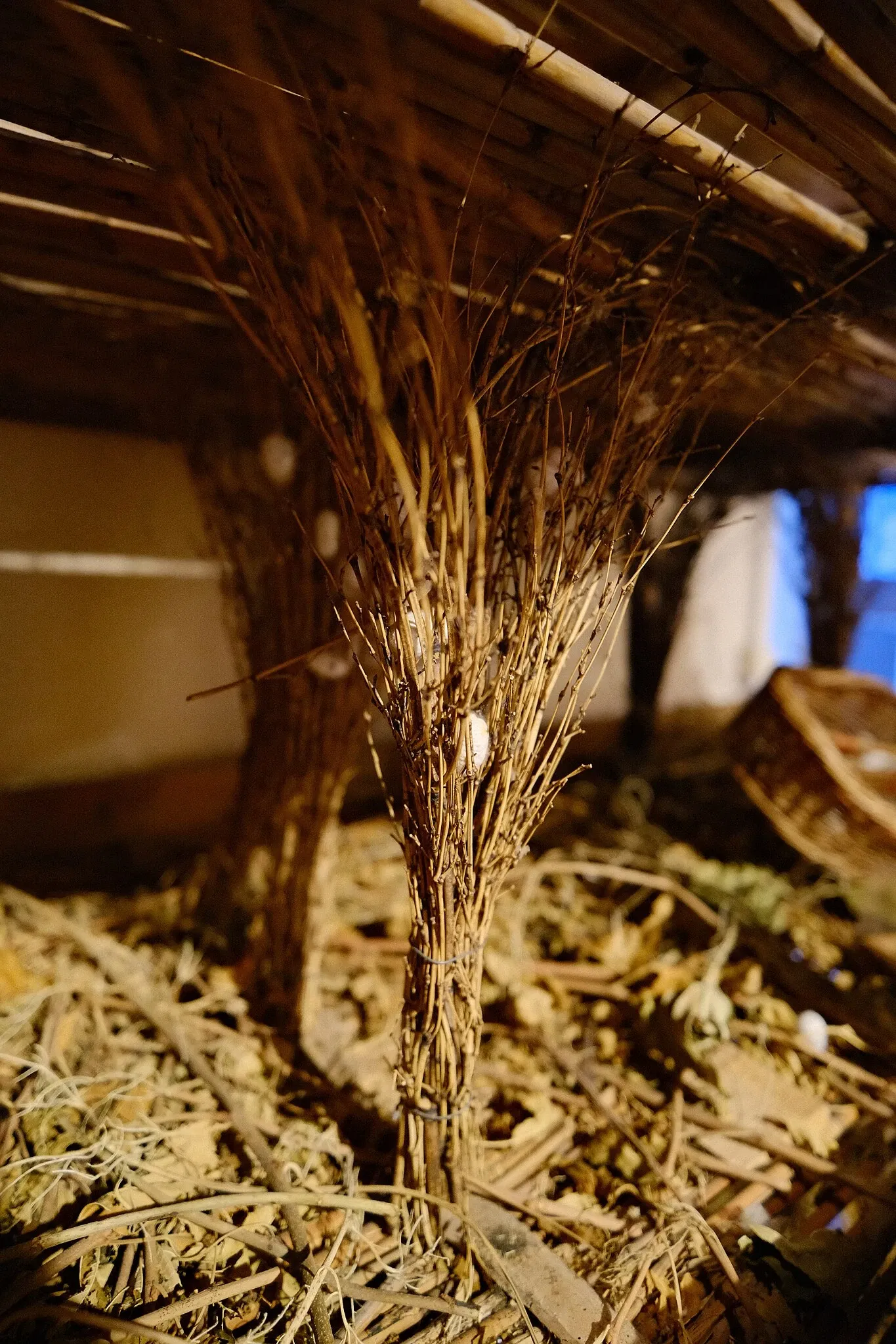 MEAB - Museo Etnografico Dell'Alta Brianza