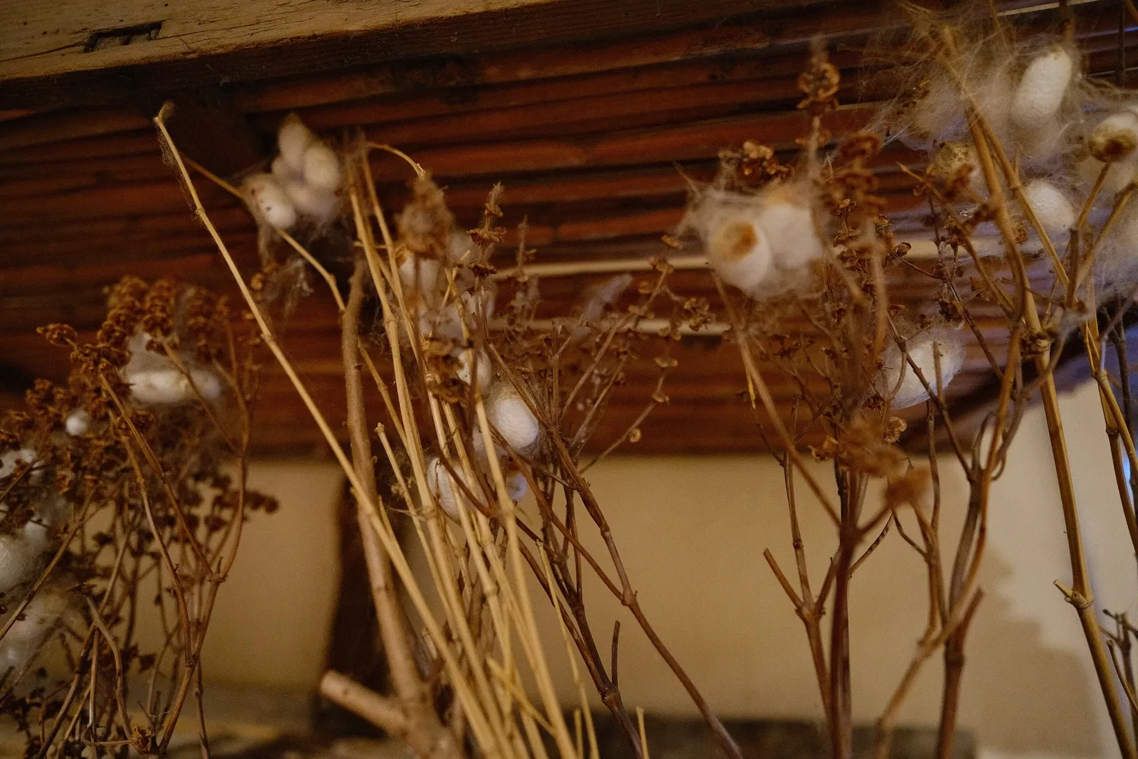 MEAB - Museo Etnografico Dell'Alta Brianza