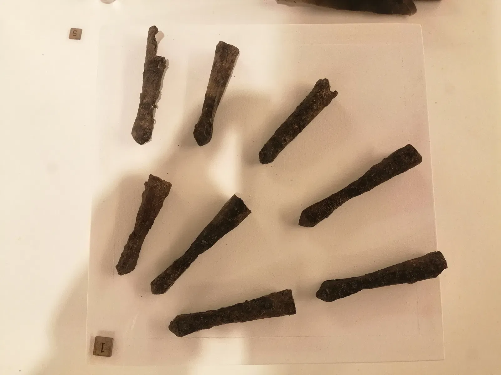 Museo Archeologico dell'Alto Mugello