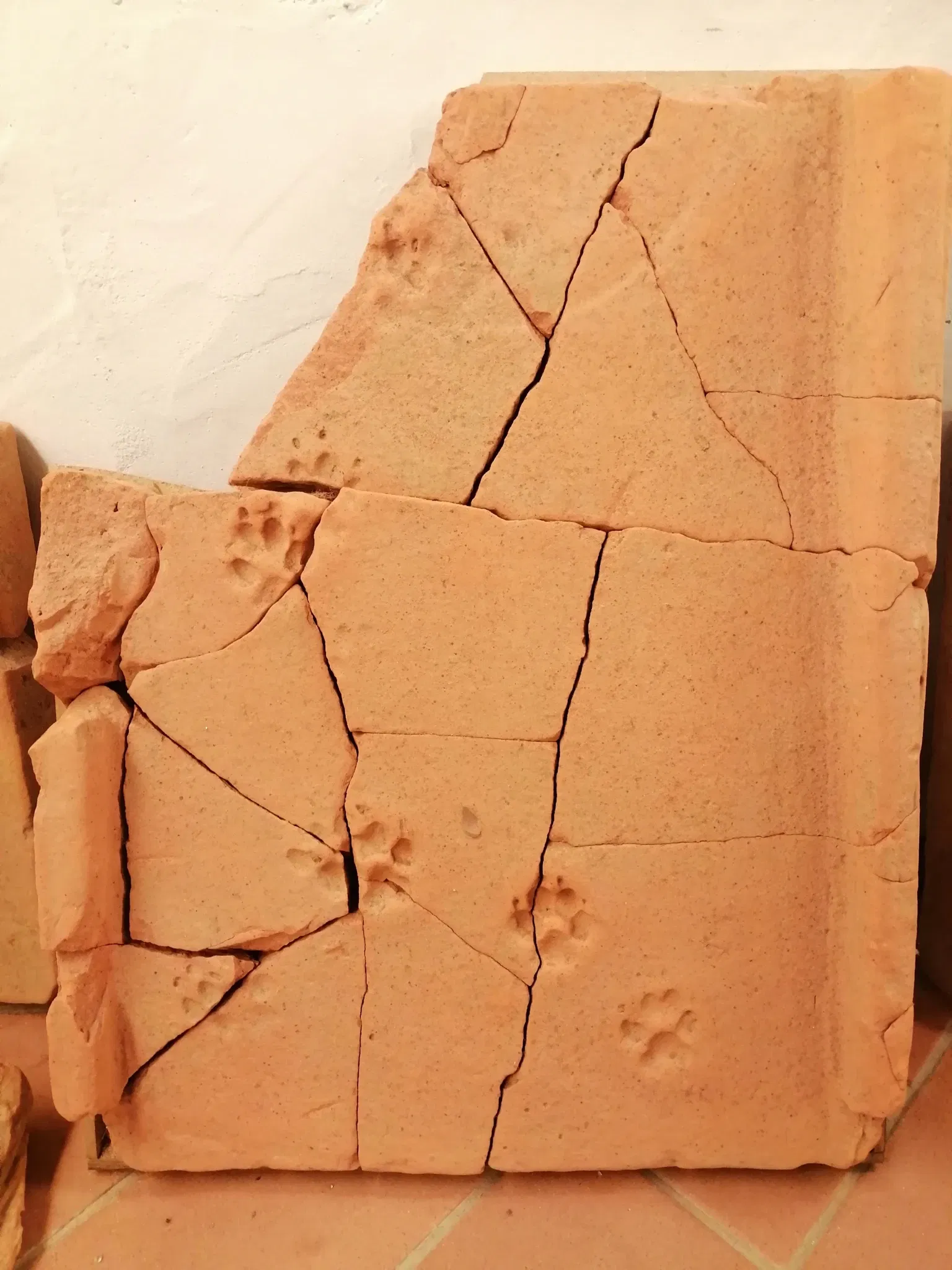 Museo Archeologico dell'Alto Mugello