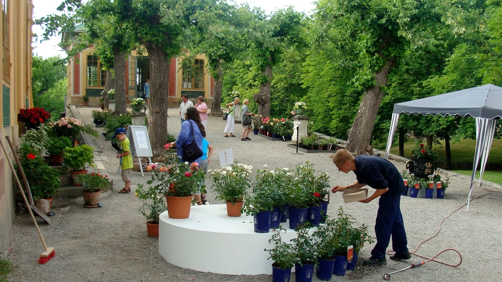 The Chinese Pavilion