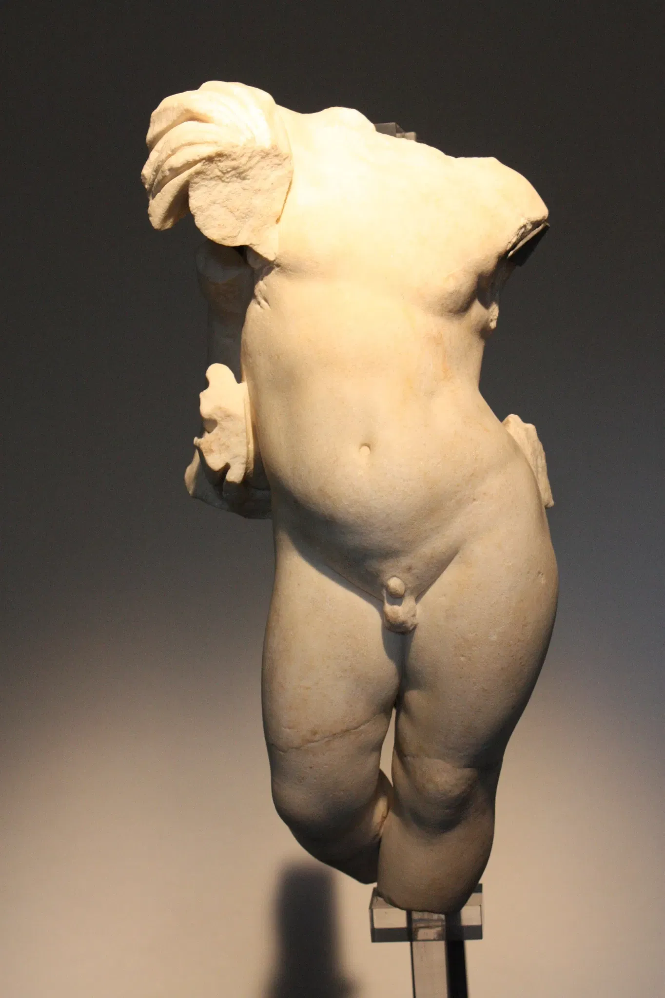 State Archaeological Museum of Urbisaglia