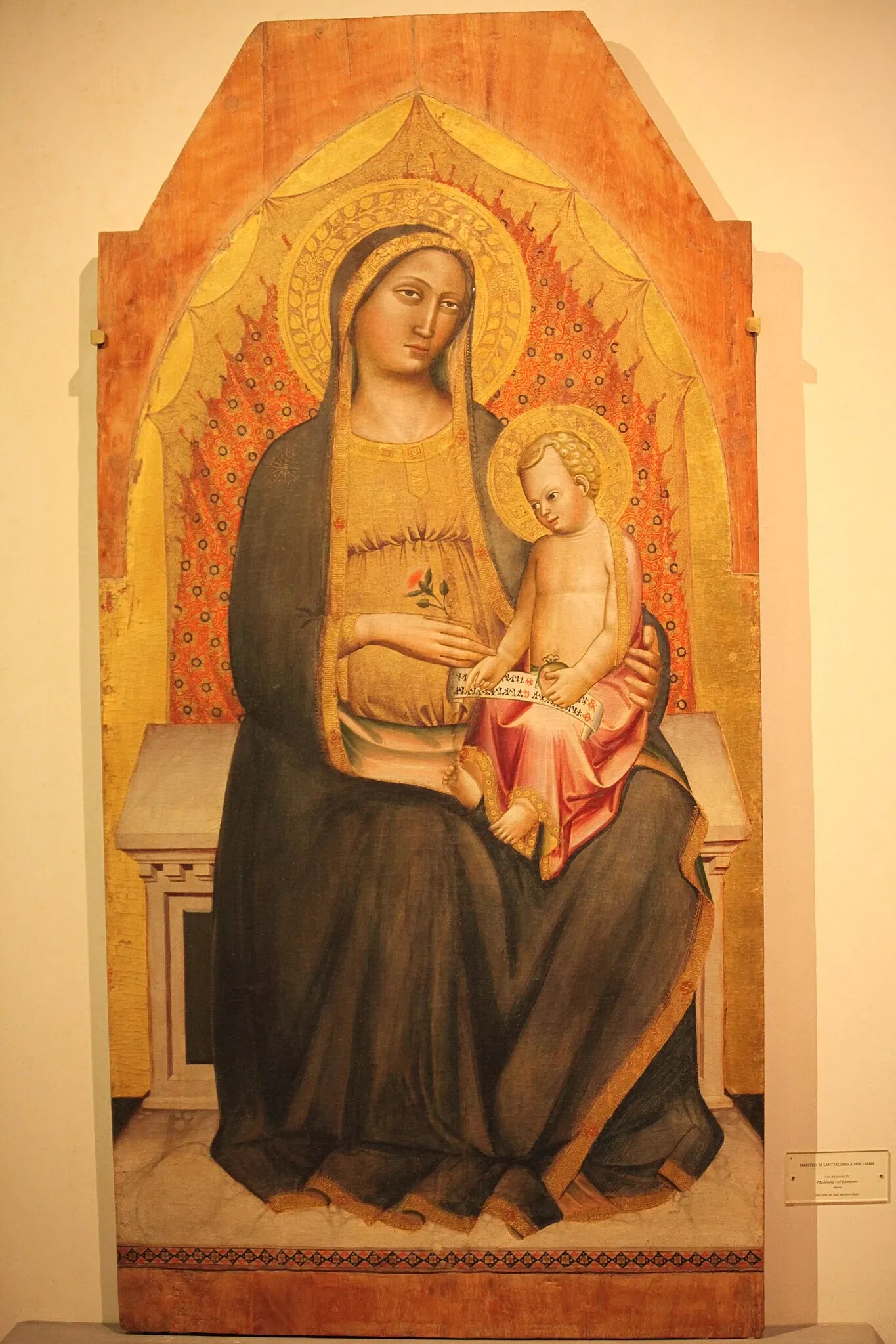 Museo di Santa Verdiana