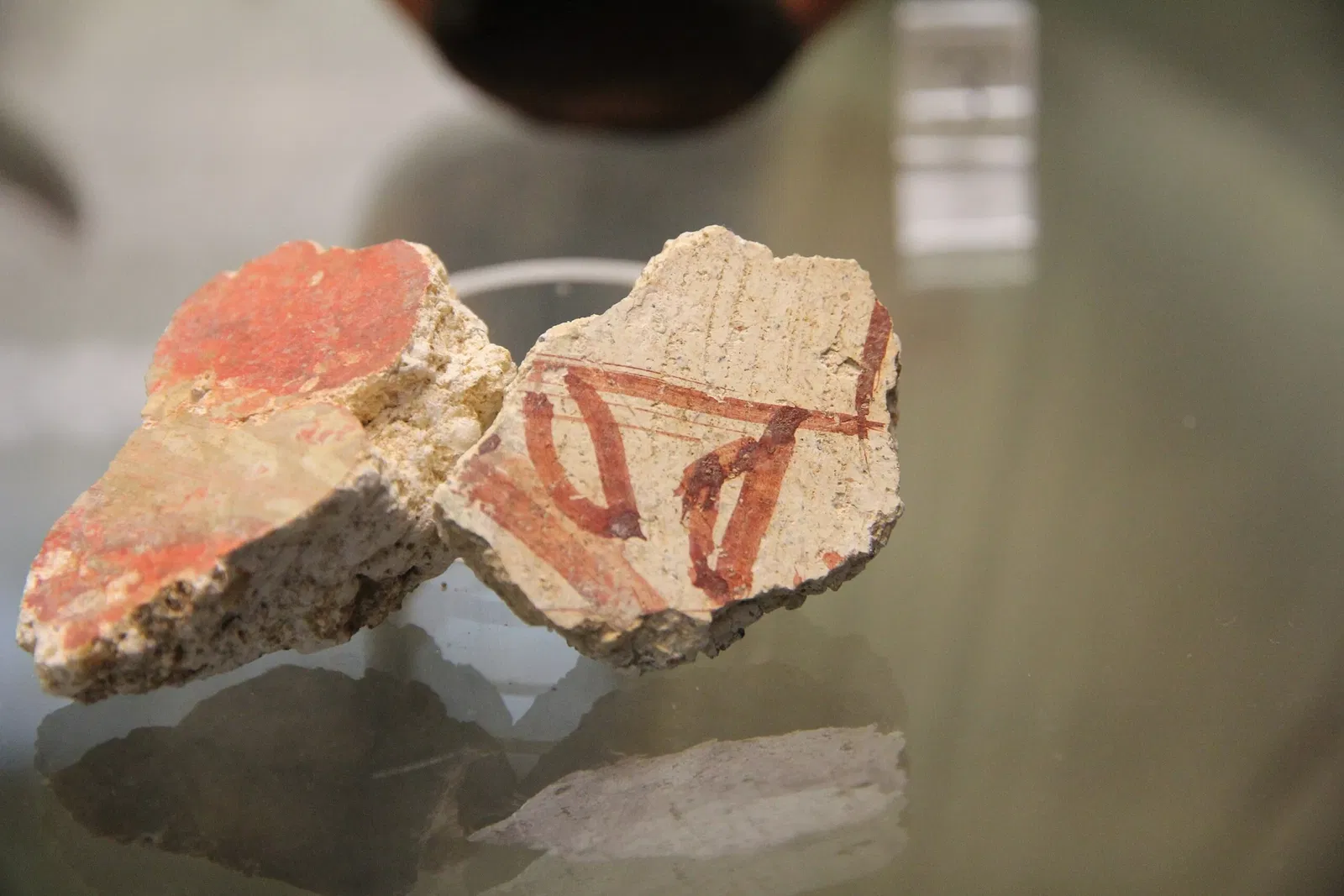 Museo Archeologico Nazionale Antiquarium Turritano e area archeologica