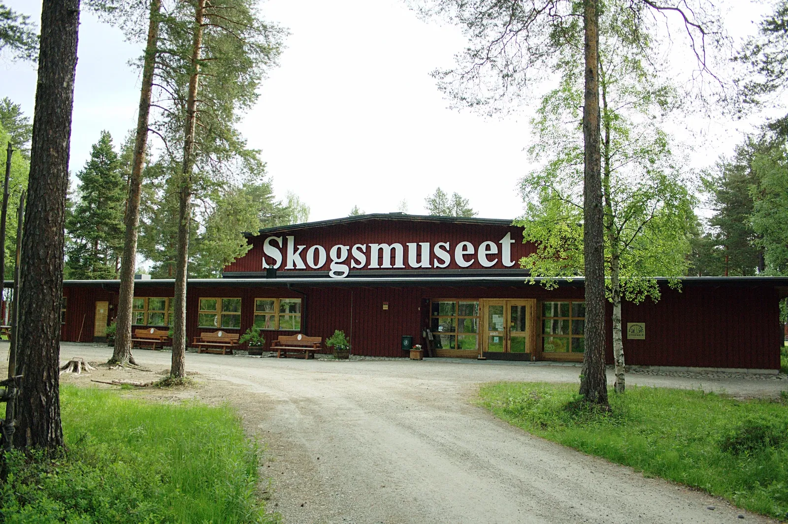 Skogs- och samemuseet