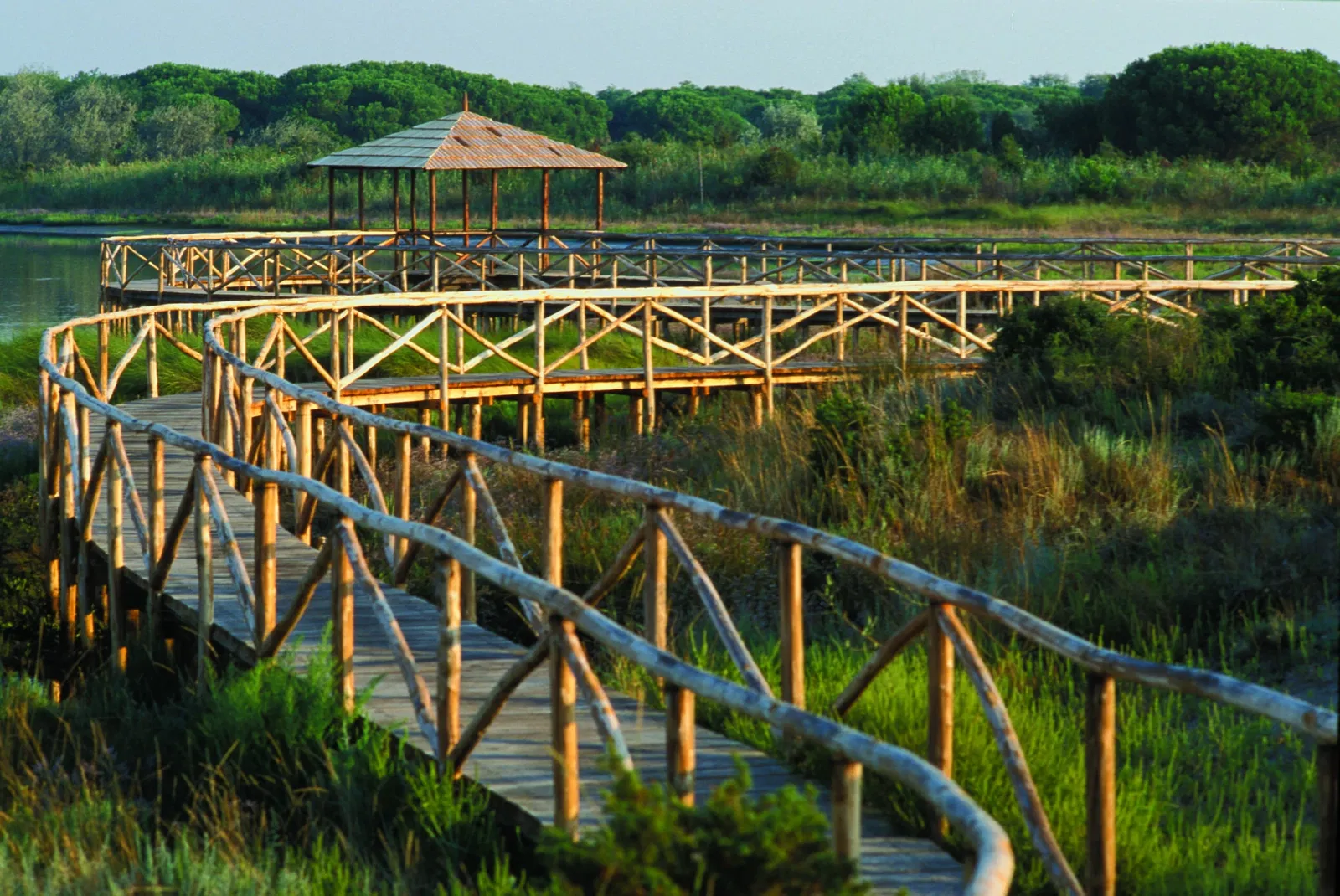 Giardino Botanico Litoraneo di Porto Caleri