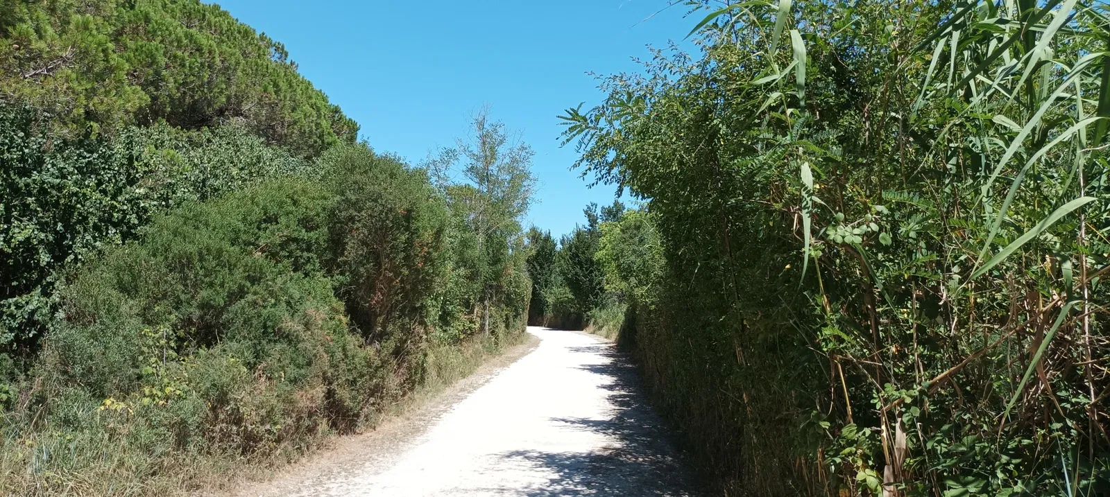 Giardino Botanico Litoraneo di Porto Caleri