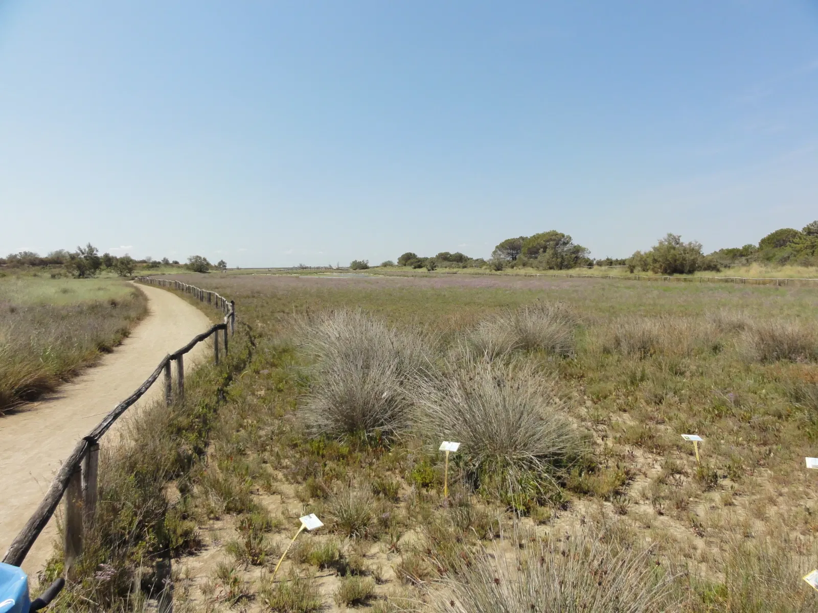 Giardino Botanico Litoraneo di Porto Caleri