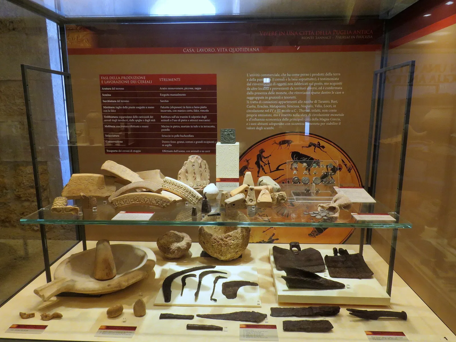 Museo Archeologico Nazionale di Gioia del Colle