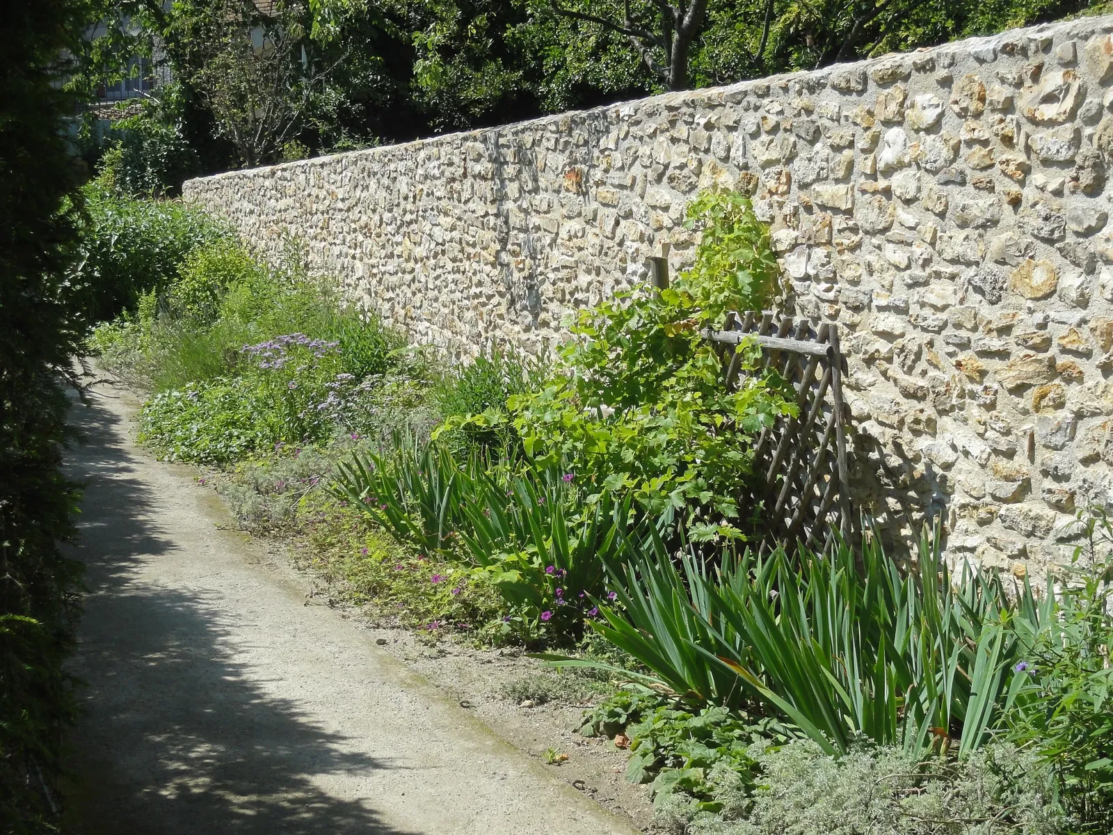Musée Jean-Jacques Rousseau