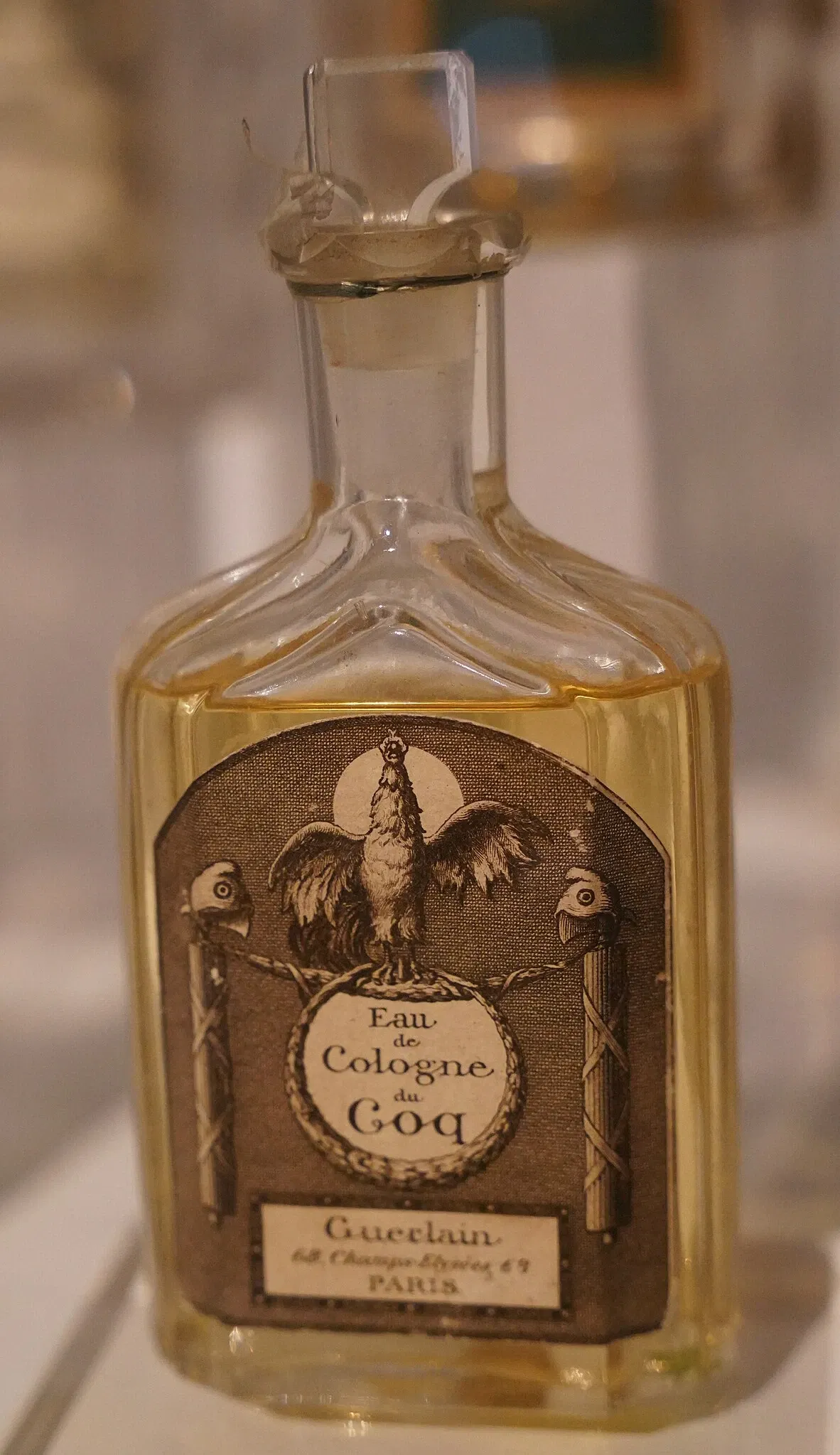 Museum of Art and History