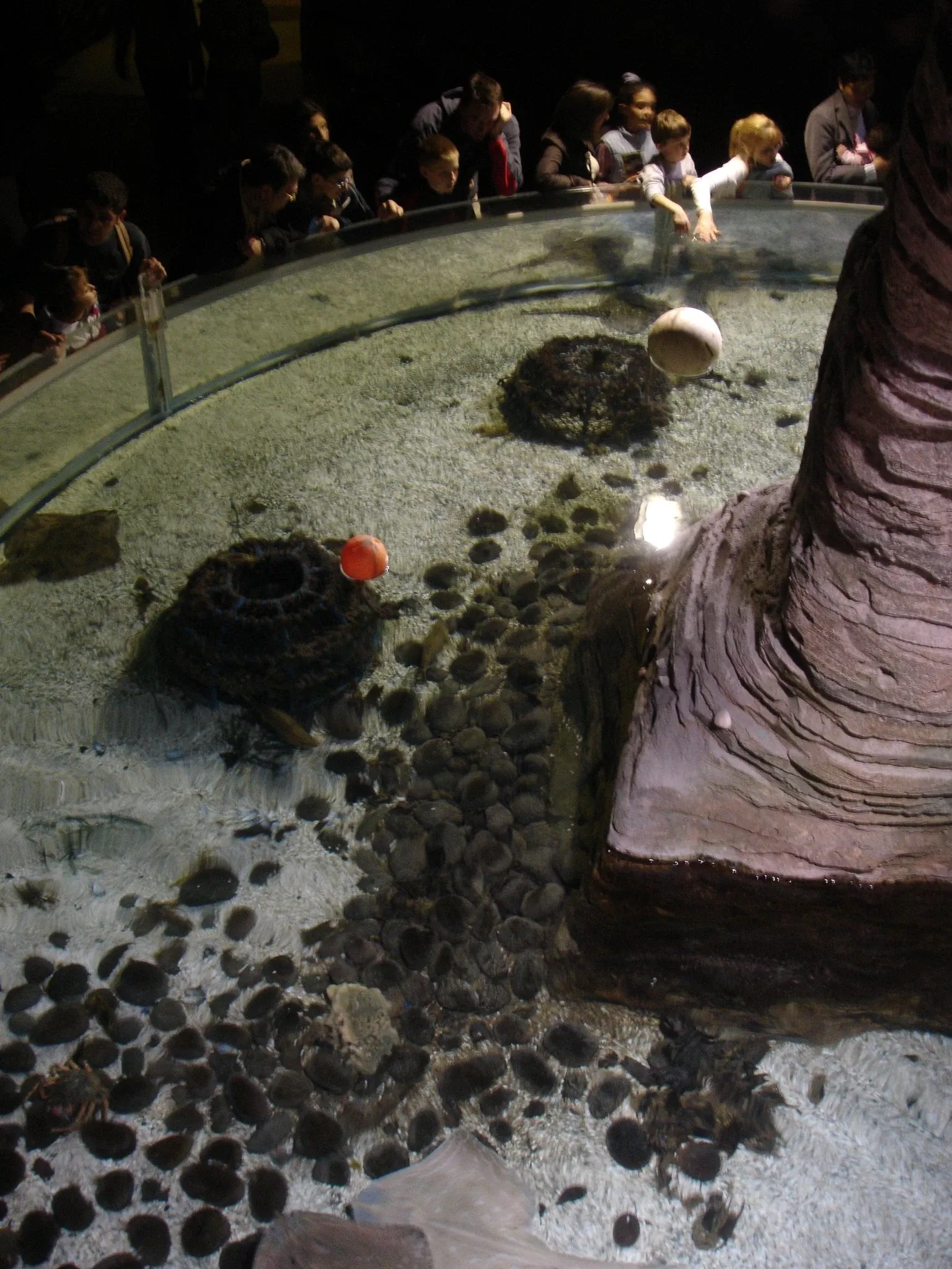 Sea Life Val d'Europe