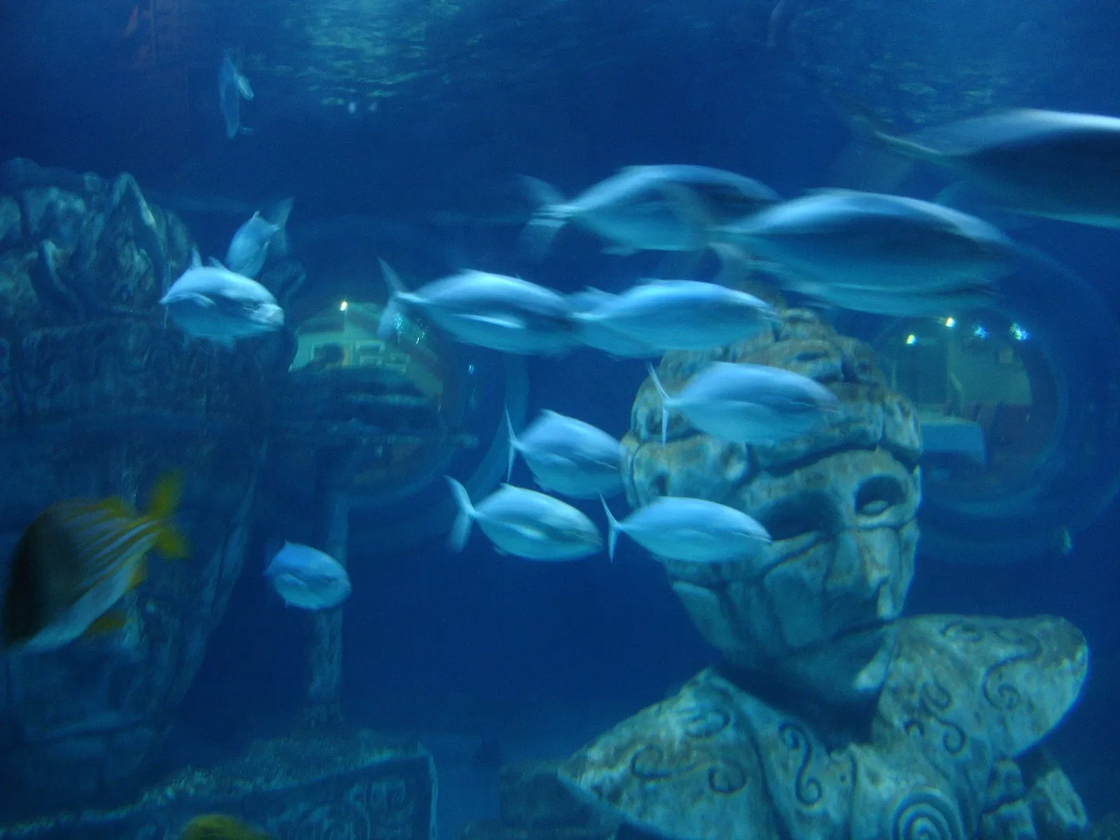 Sea Life Val d'Europe