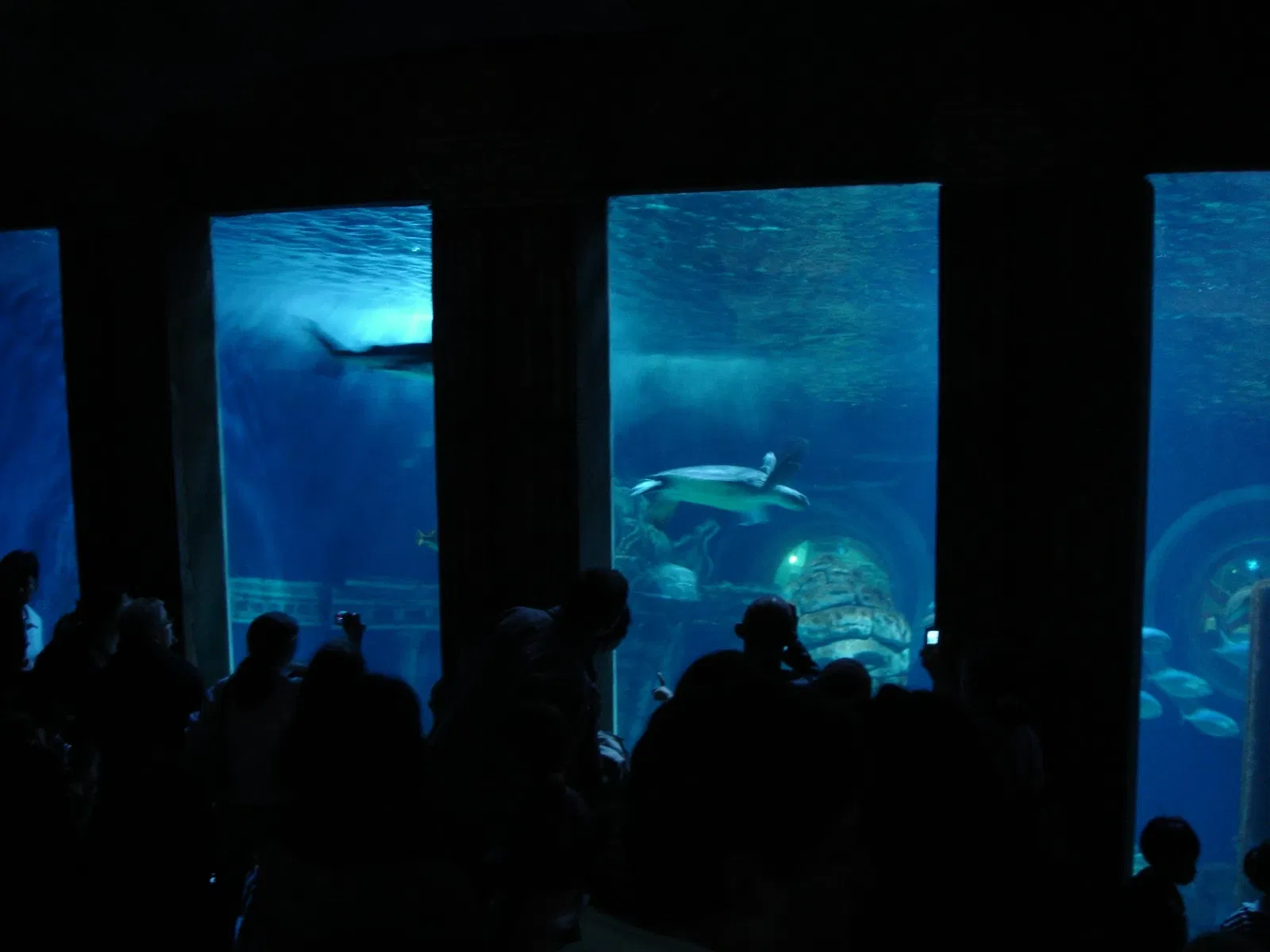 Sea Life Val d'Europe