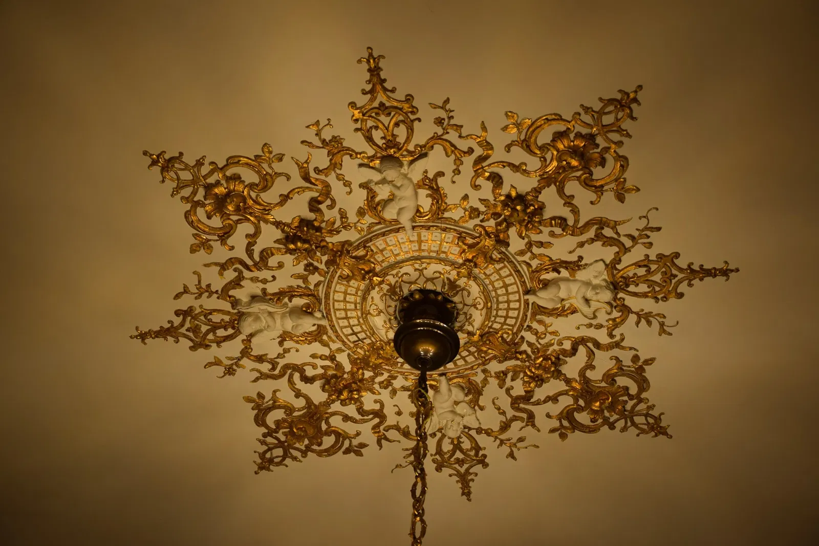 Musée des Beaux-Arts de Cambrai