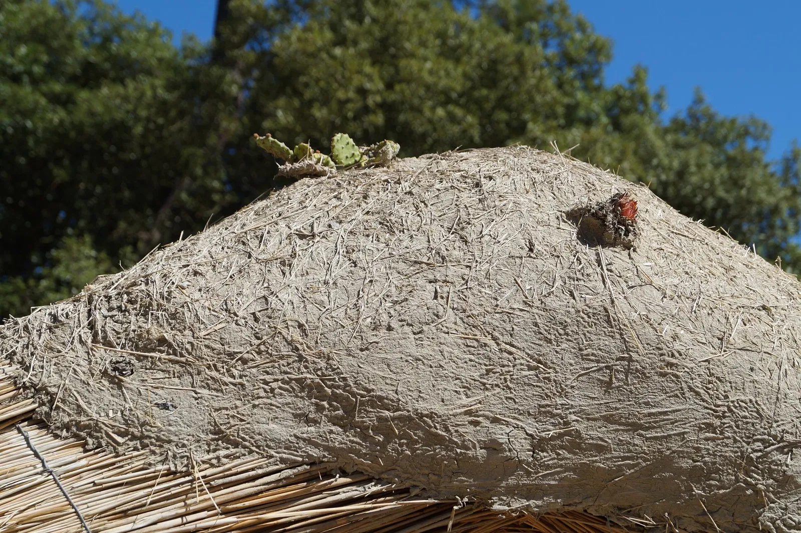 Musée de la Bourrine du Bois Juquaud