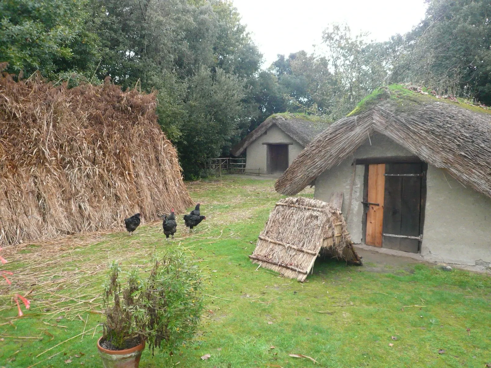 Musée de la Bourrine du Bois Juquaud