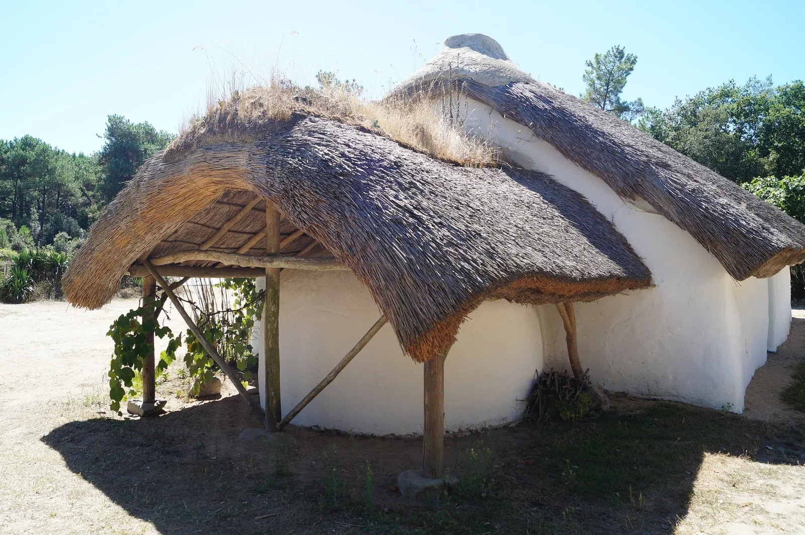 Musée de la Bourrine du Bois Juquaud
