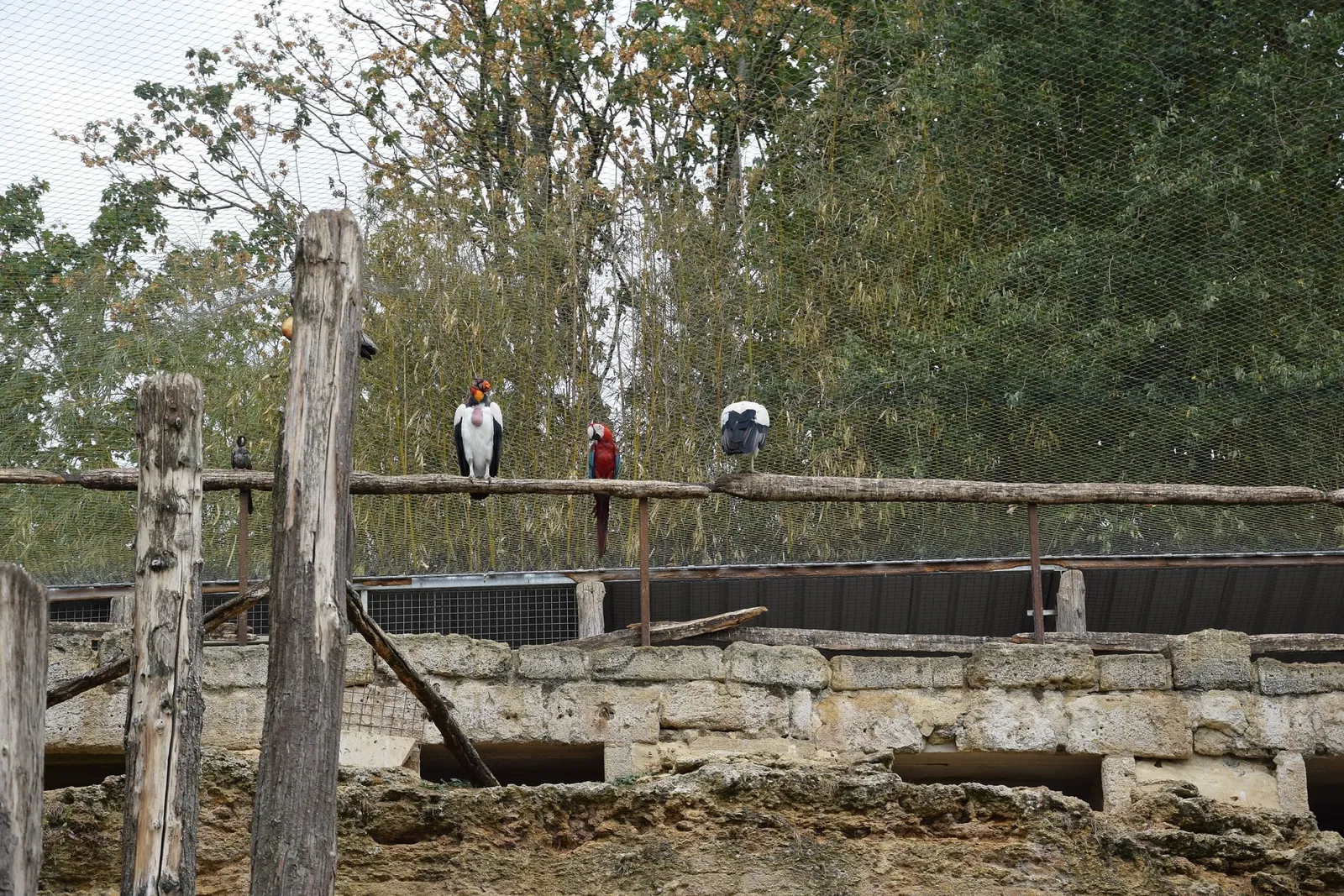 Bioparc de Doué-la-Fontaine