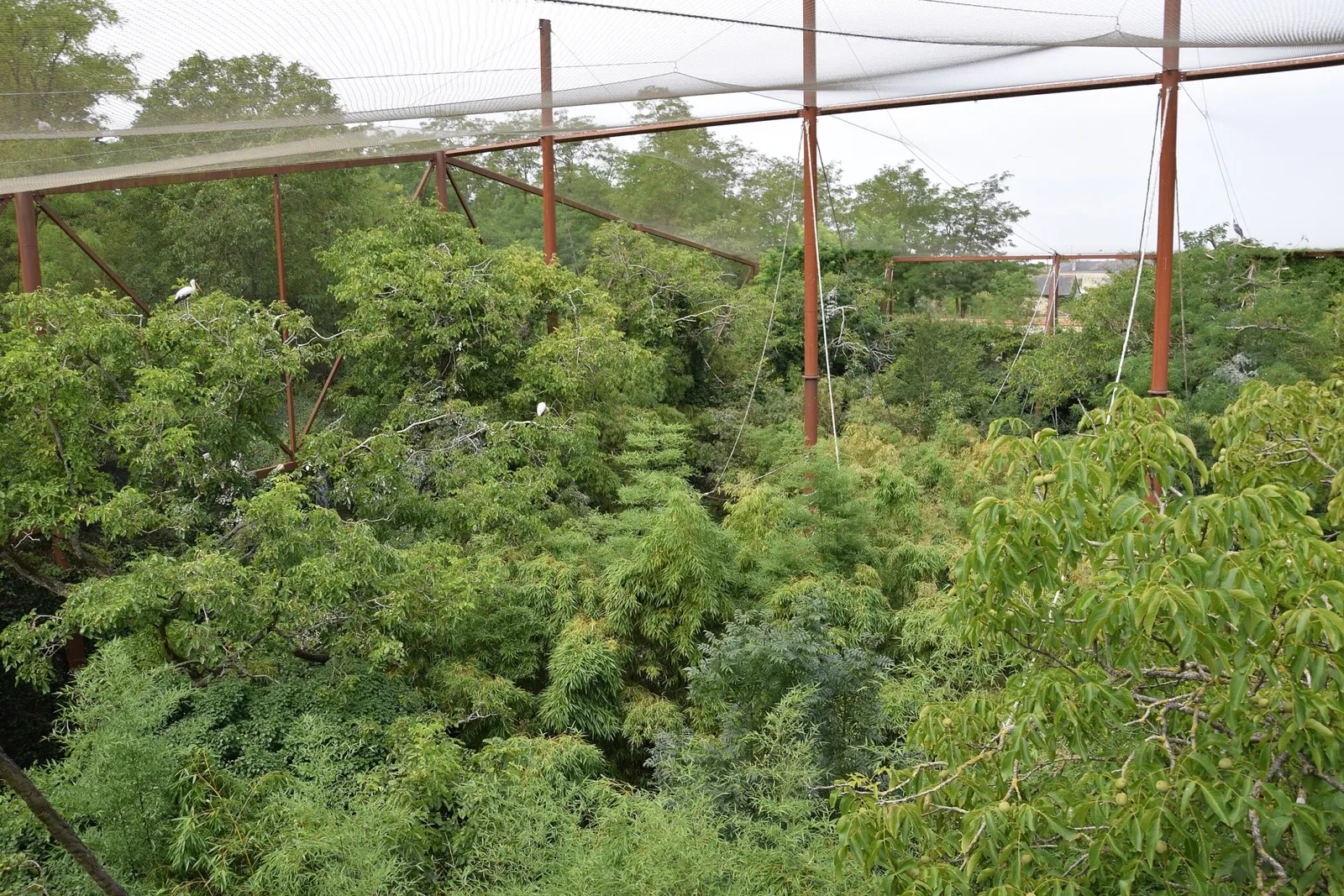 Bioparc de Doué-la-Fontaine