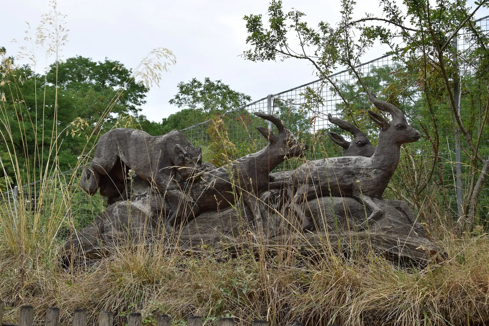 Bioparc de Doué-la-Fontaine
