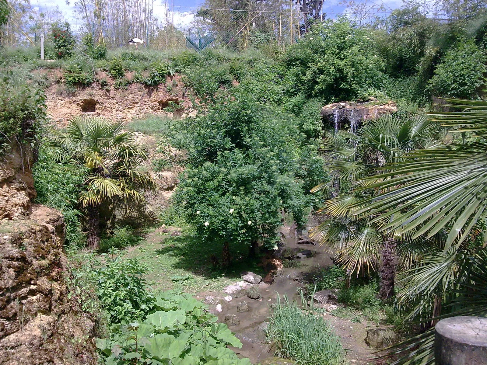Bioparc de Doué-la-Fontaine