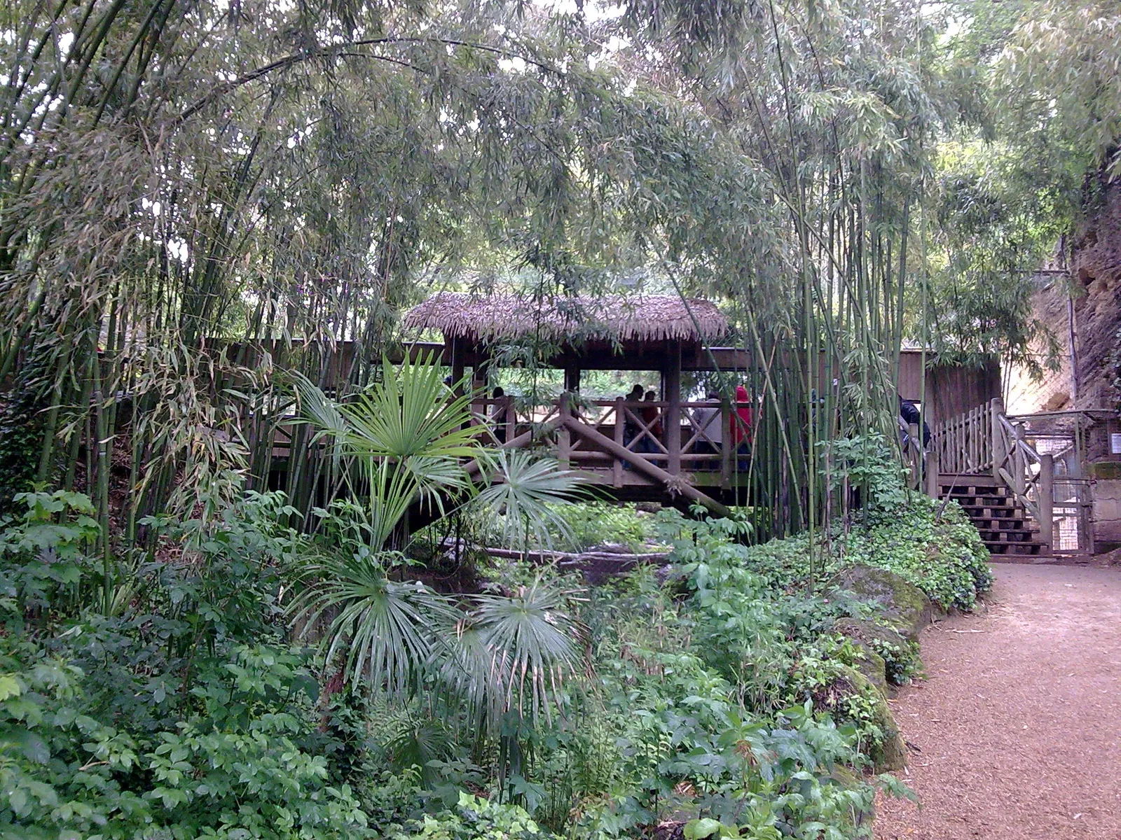 Bioparc de Doué-la-Fontaine