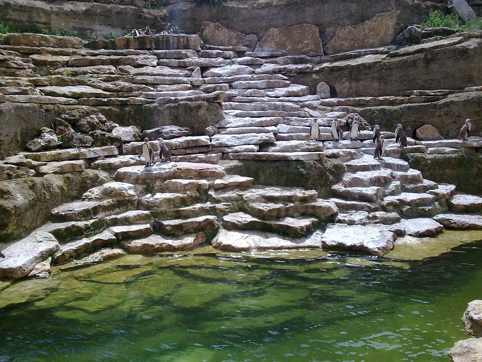 Bioparc de Doué-la-Fontaine