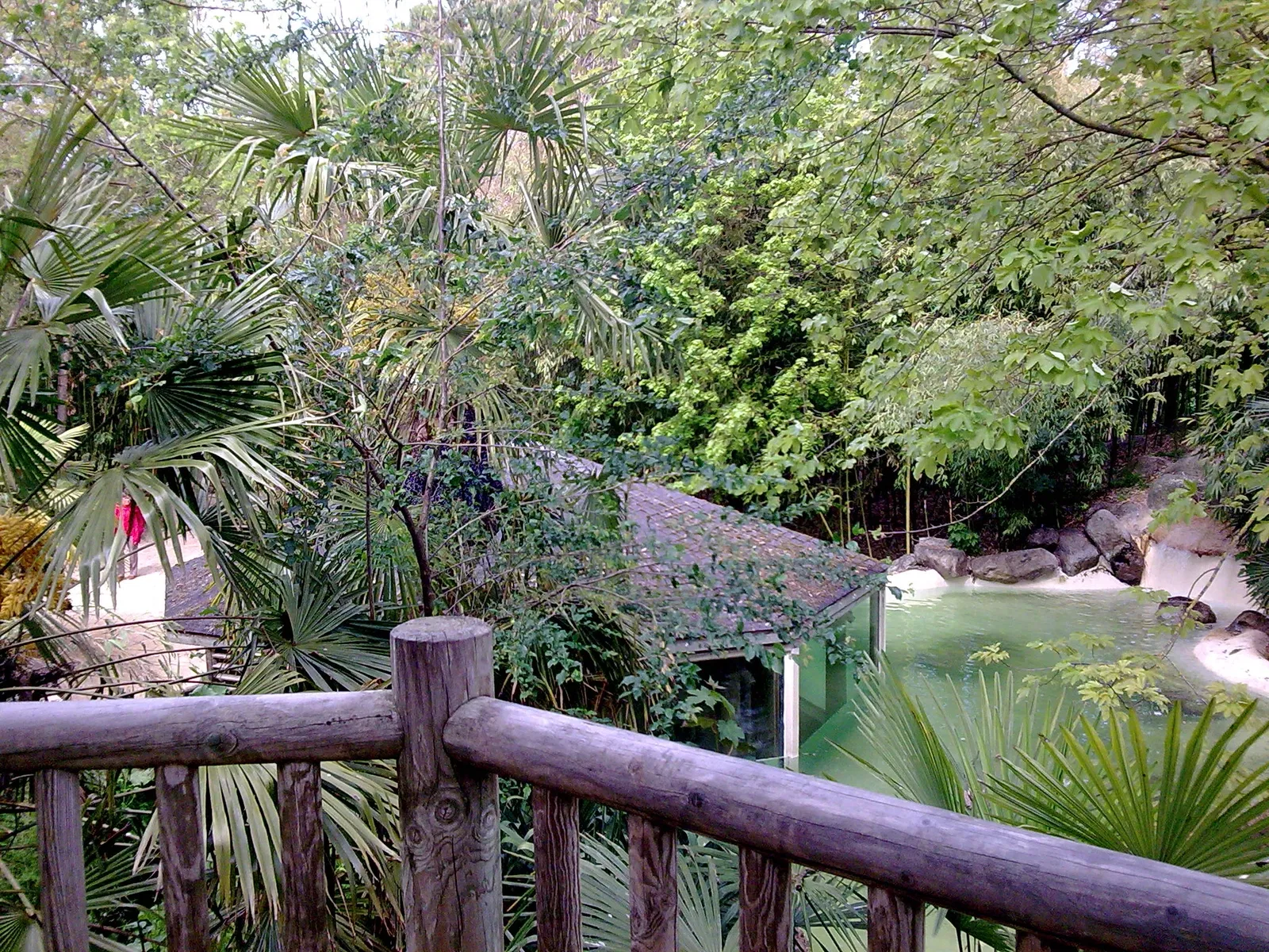 Bioparc de Doué-la-Fontaine