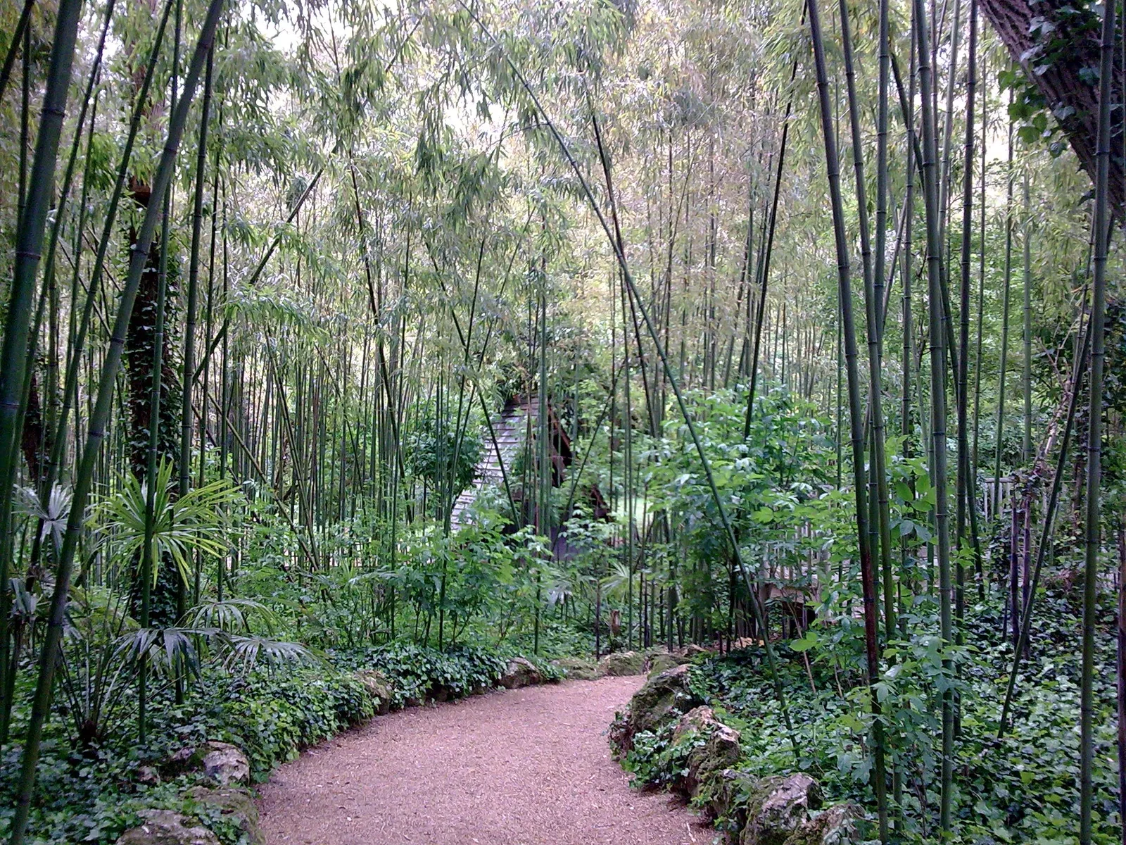 Bioparc de Doué-la-Fontaine