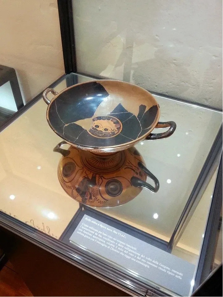 Museo Civico Goffredo Bellini