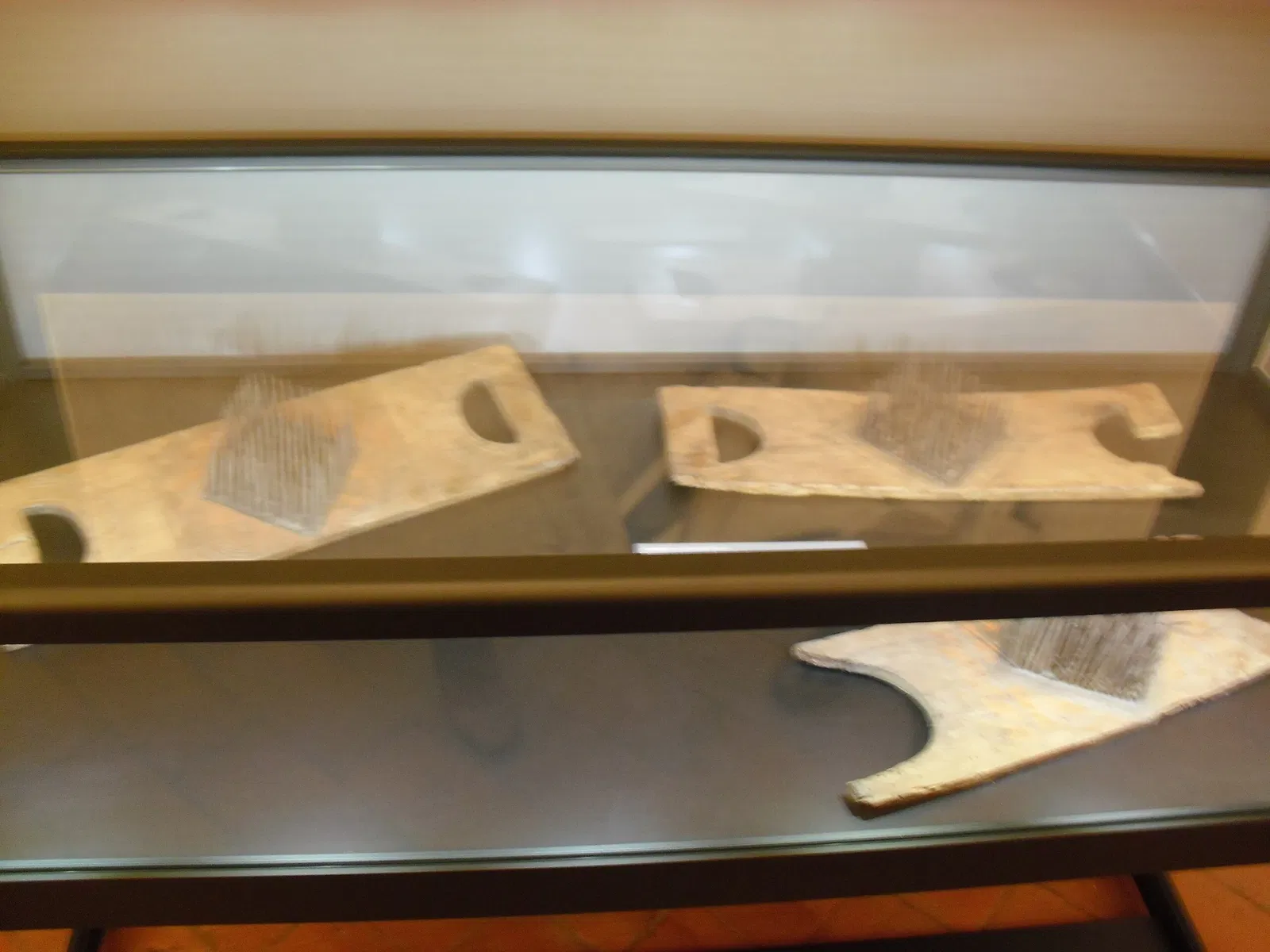 Museo Civico Goffredo Bellini