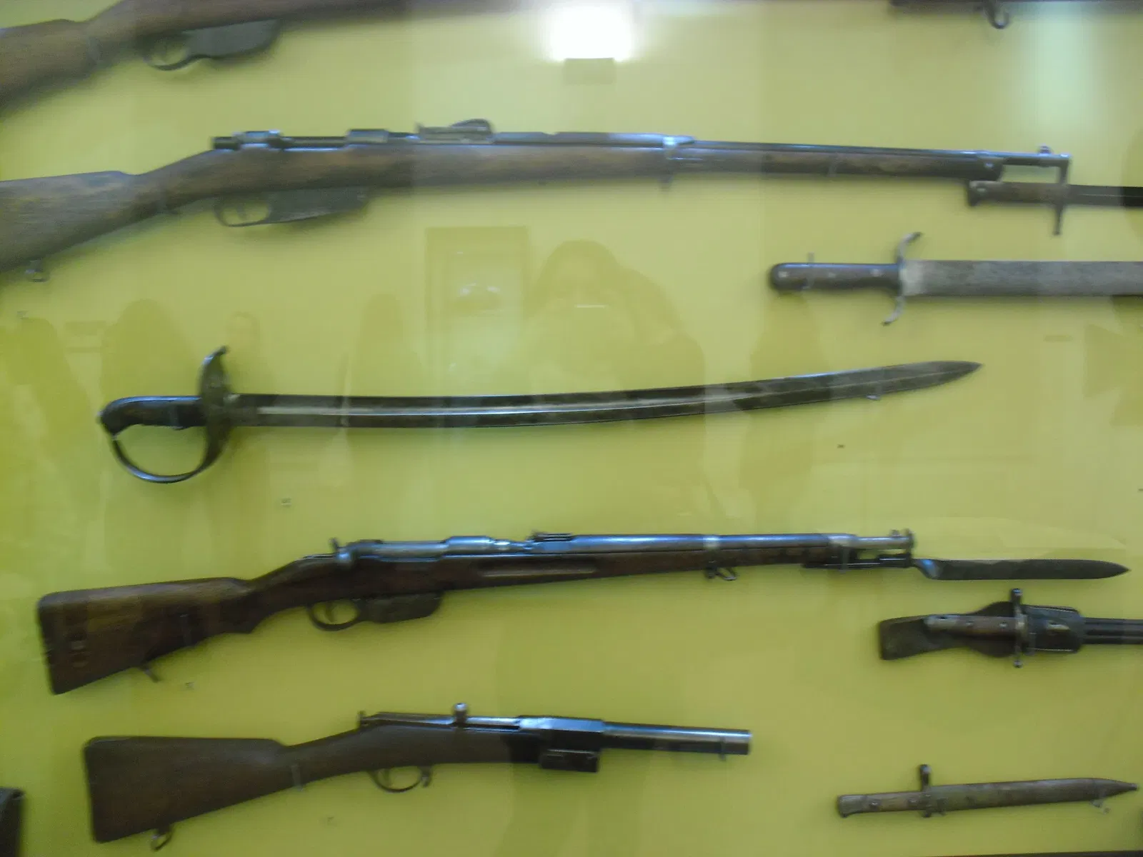 Museo Civico Goffredo Bellini