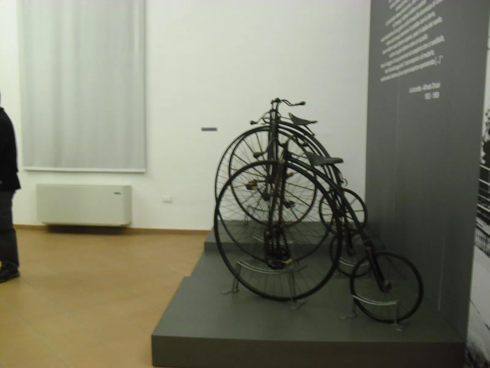 Museo Civico Goffredo Bellini