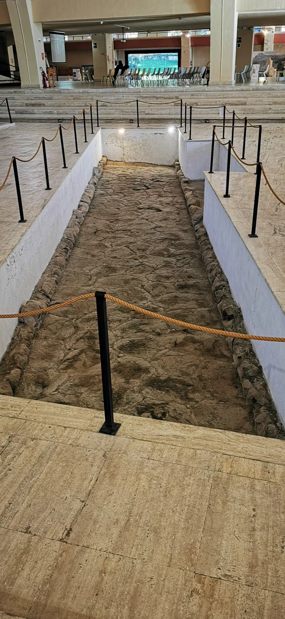 Museo delle Navi Romane