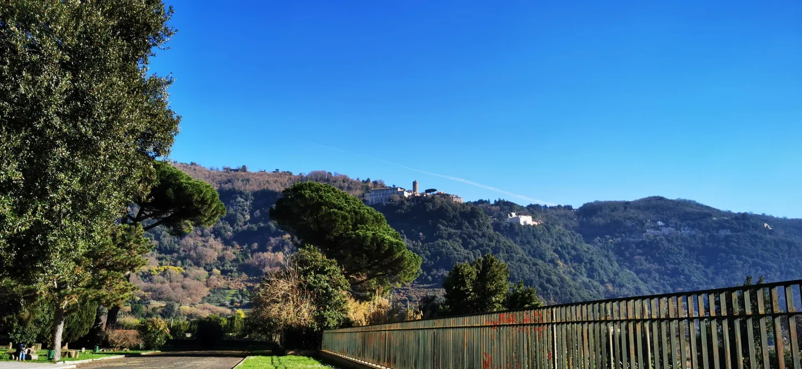 Museo delle Navi Romane