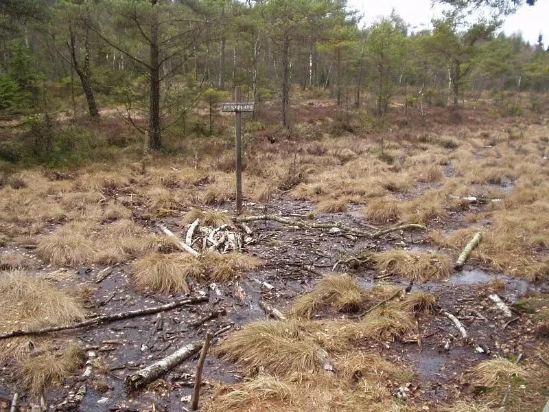 Halland Museum of Cultural History