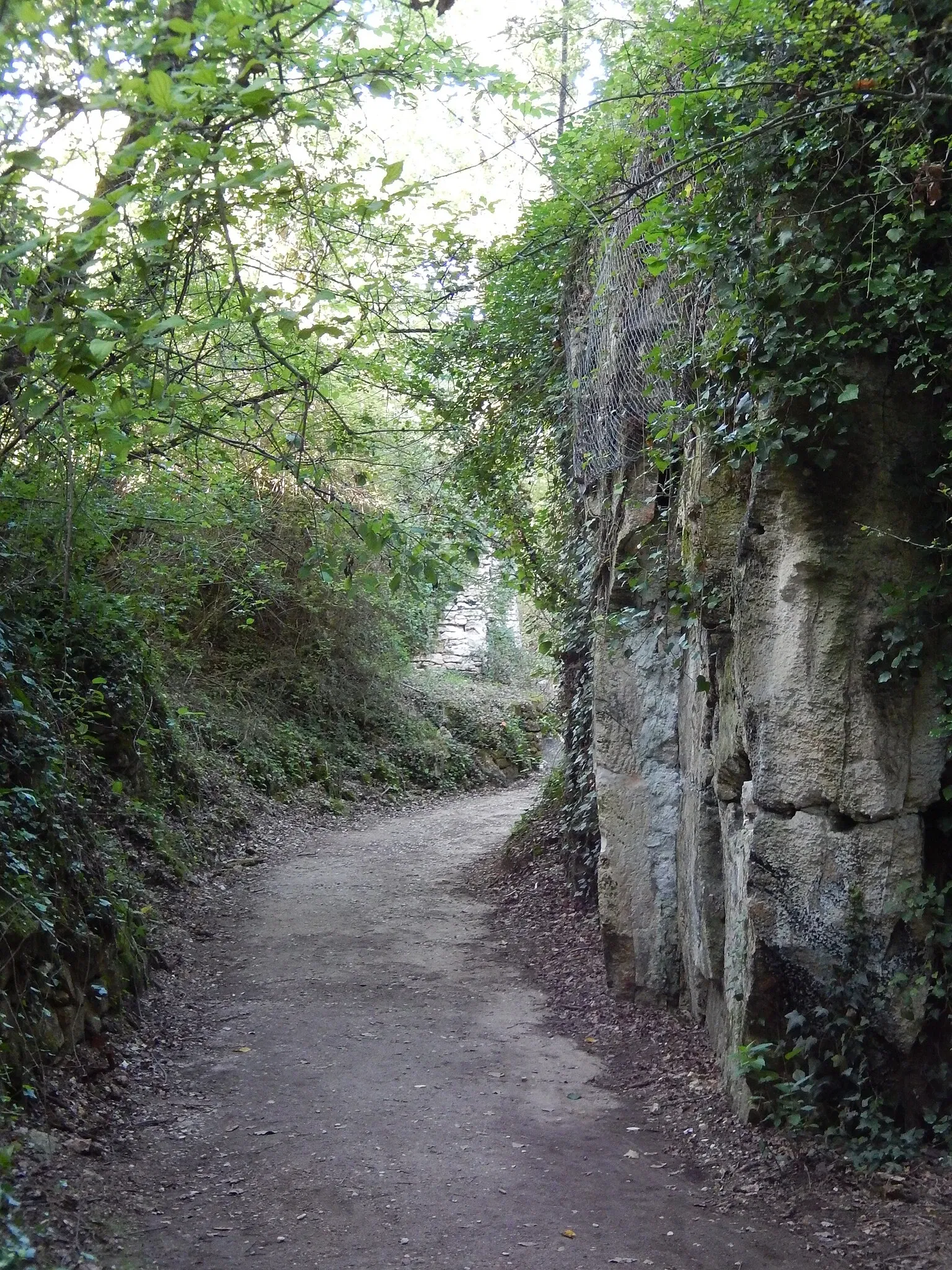 La Pierre de Crazannes