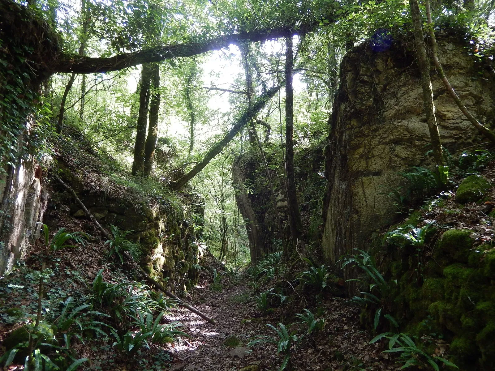 La Pierre de Crazannes