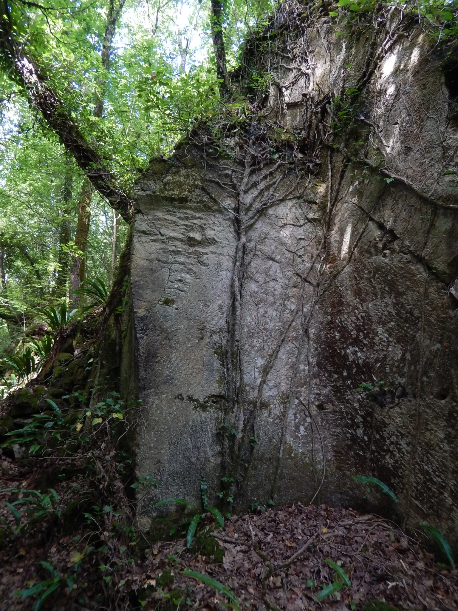 The Stone of Crazannes