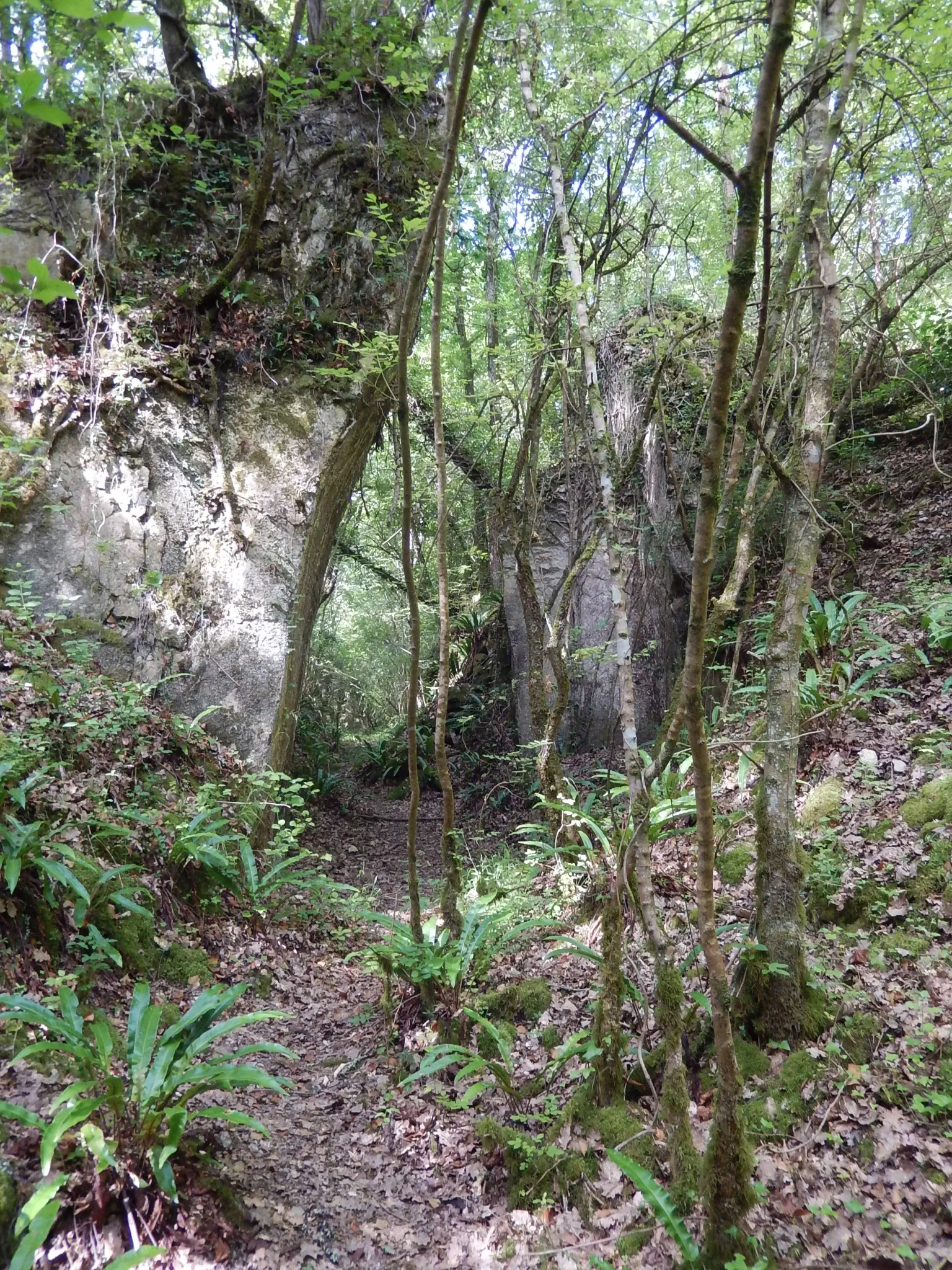 La Pierre de Crazannes