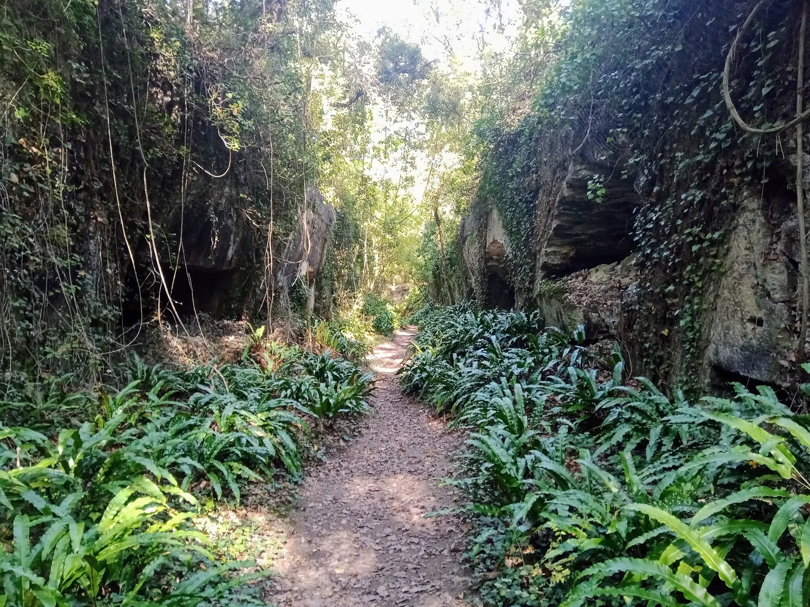 La Pierre de Crazannes