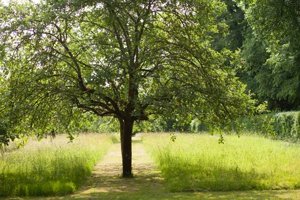Maison de George Sand
