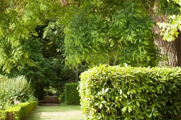 House of George Sand