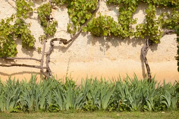 Maison de George Sand